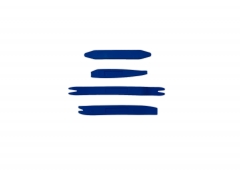 Auto Trim Removal 4 Piece Kit