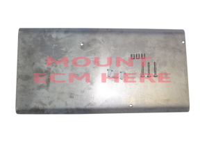 CPT 1971-80 Scout II, Terra or Traveler Bolt-In Universal ECM Mount Kit